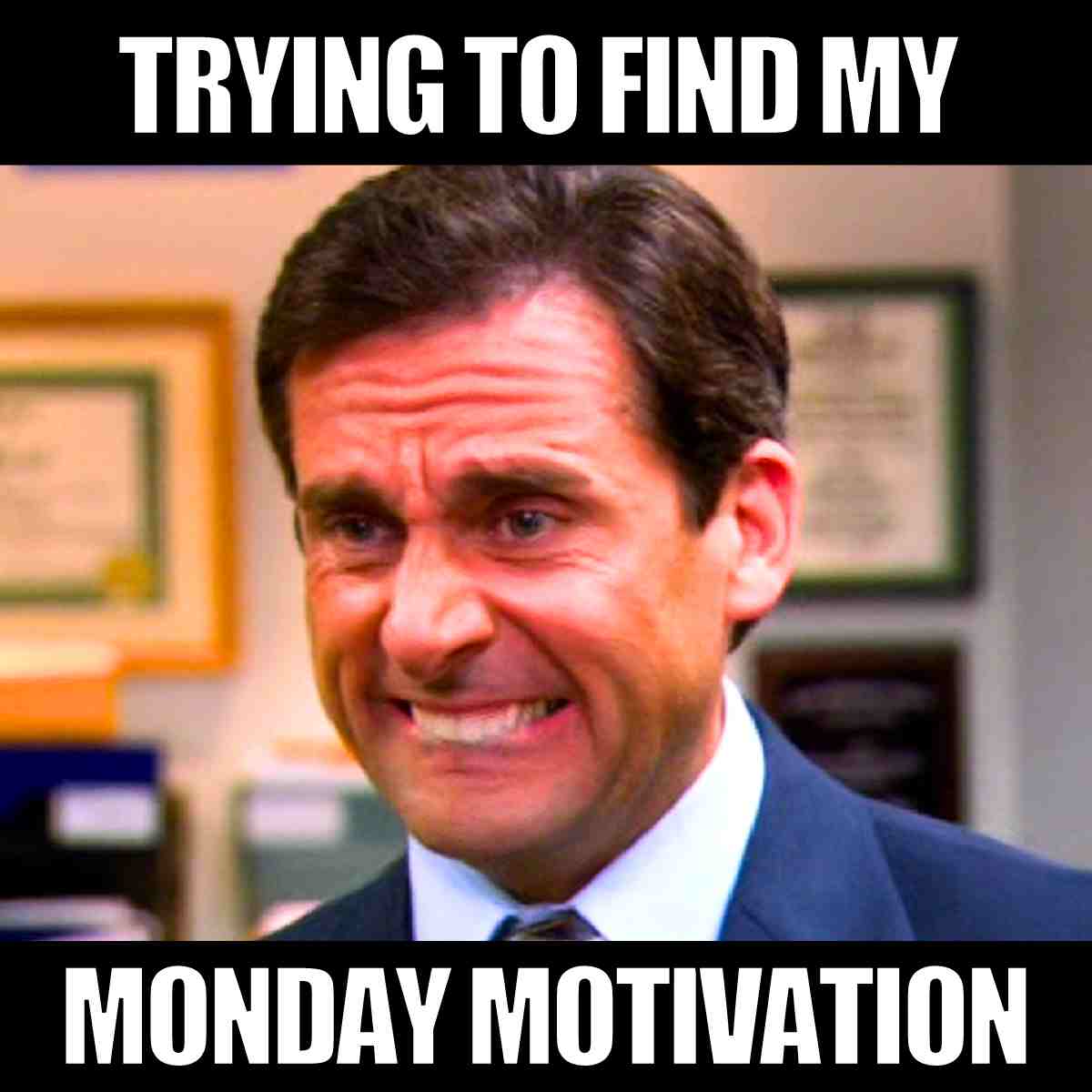 12 Positive Monday Memes To Elevate Your Energy